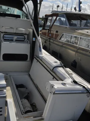 Polyester Motorboat Boston Whaler 31 Photo 16