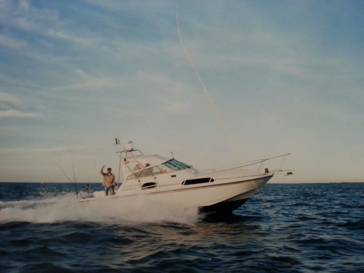 Polyester Motorboat Boston Whaler 31