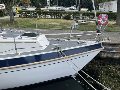 Polyester Sailboat Compass 31 Ketch Photo 25