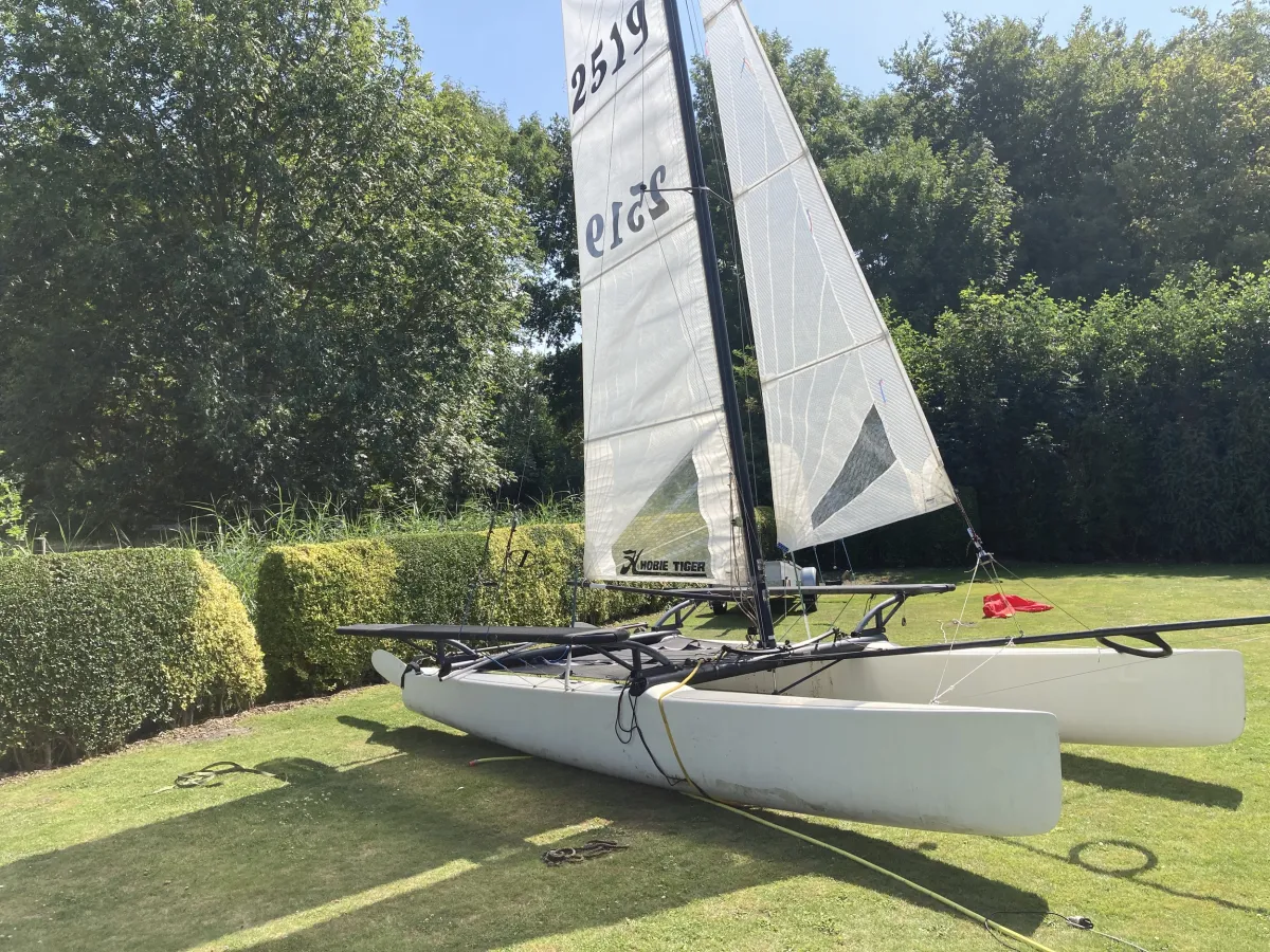 Polyester catamaran Hobie Cat 551