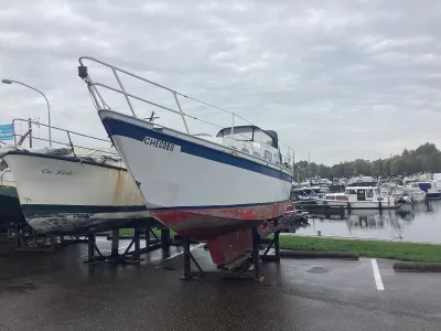 Steel Sailboat Sailboat 1000 Photo 1