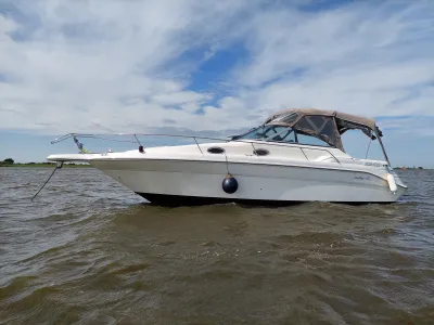 Polyester Speedboat Sea Ray 270 Sundancer Photo 1