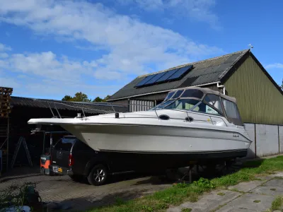 Polyester Speedboat Sea Ray 270 Sundancer Photo 2