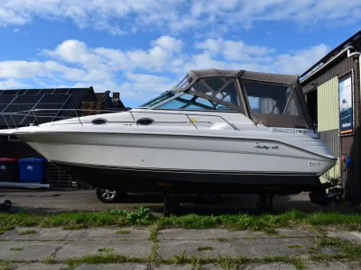 Polyester Speedboat Sea Ray 270 Sundancer Photo 19