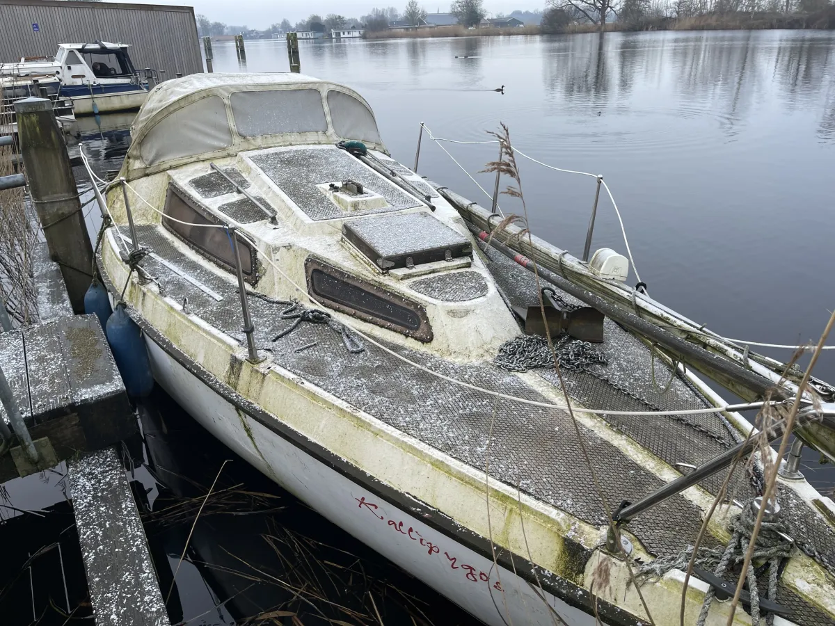 Polyester Budgetboat Cabin sailboat 800