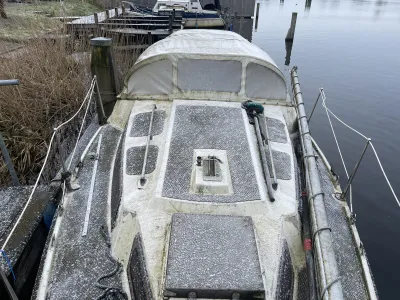 Polyester Budgetboat Cabin sailboat 800 Photo 1