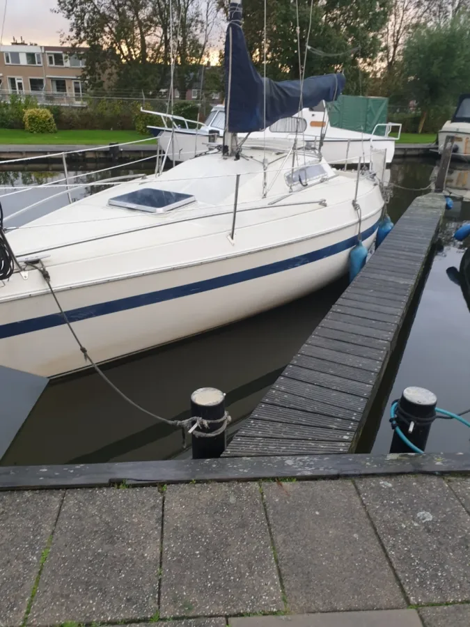 Polyester Sailboat Jouet 26