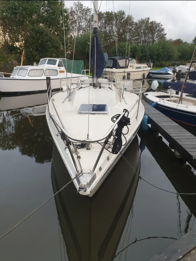 Polyester Sailboat Jouet 26