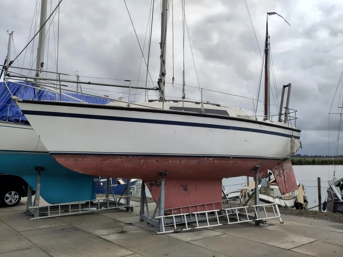 Polyester Sailboat Cobra 850