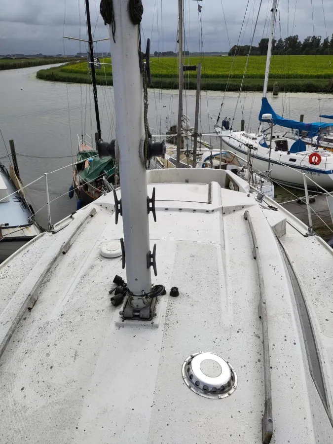 Polyester Sailboat Cobra 850