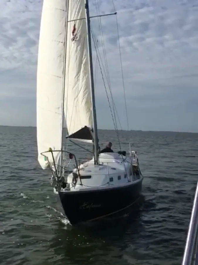 Polyester Sailboat Contest 27