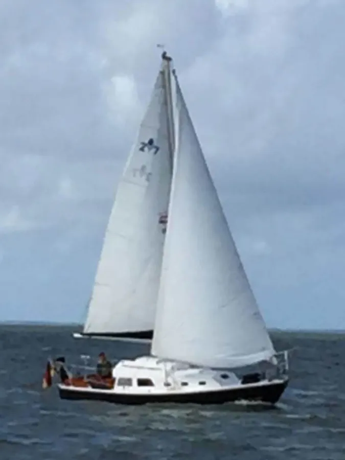 Polyester Sailboat Contest 27