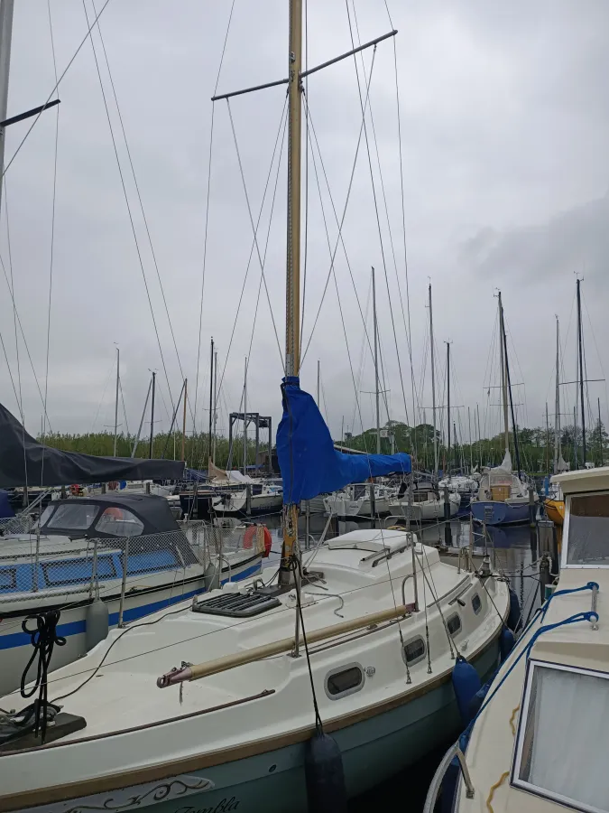 Polyester Sailboat Halcyon Clipper 850