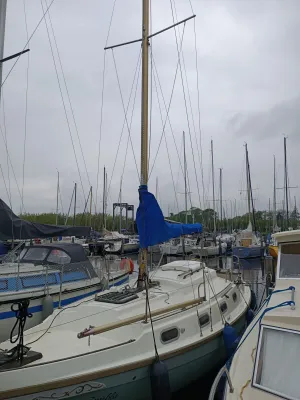 Polyester Sailboat Halcyon Clipper 850 Photo 1