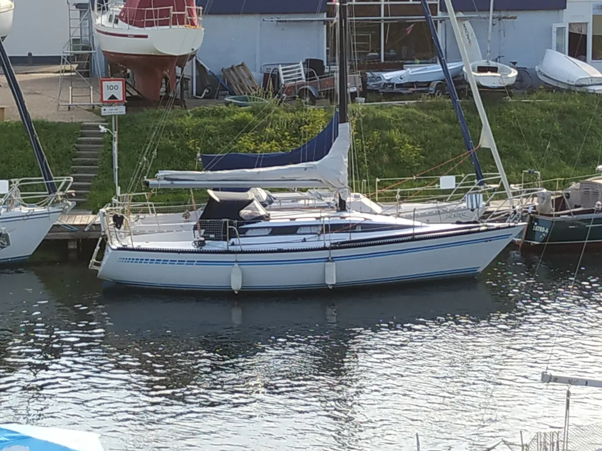 Polyester Sailboat Buccaneer 295