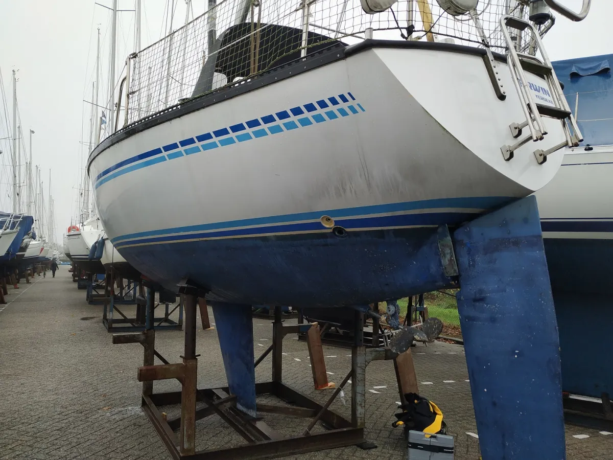 Polyester Sailboat Buccaneer 295