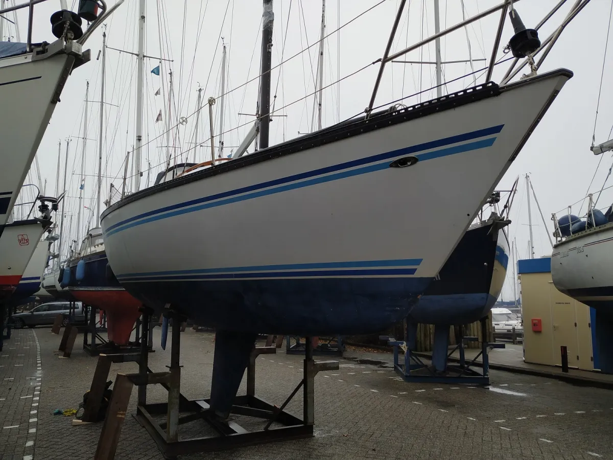 Polyester Sailboat Buccaneer 295