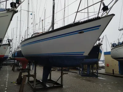 Polyester Sailboat Buccaneer 295 Photo 19