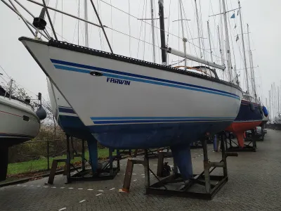 Polyester Sailboat Buccaneer 295 Photo 20