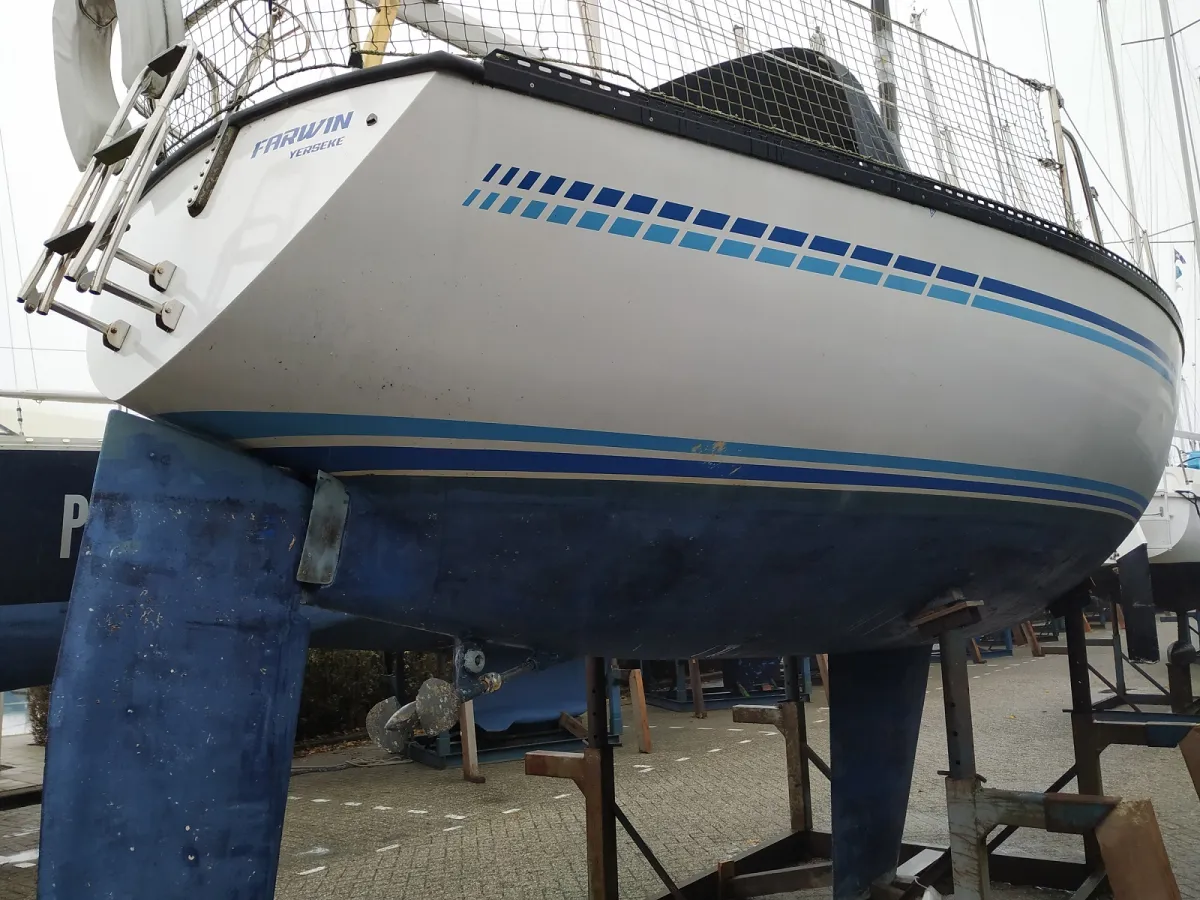 Polyester Sailboat Buccaneer 295