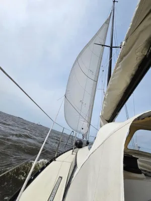 Polyester Sailboat Friendship 28 Photo 2