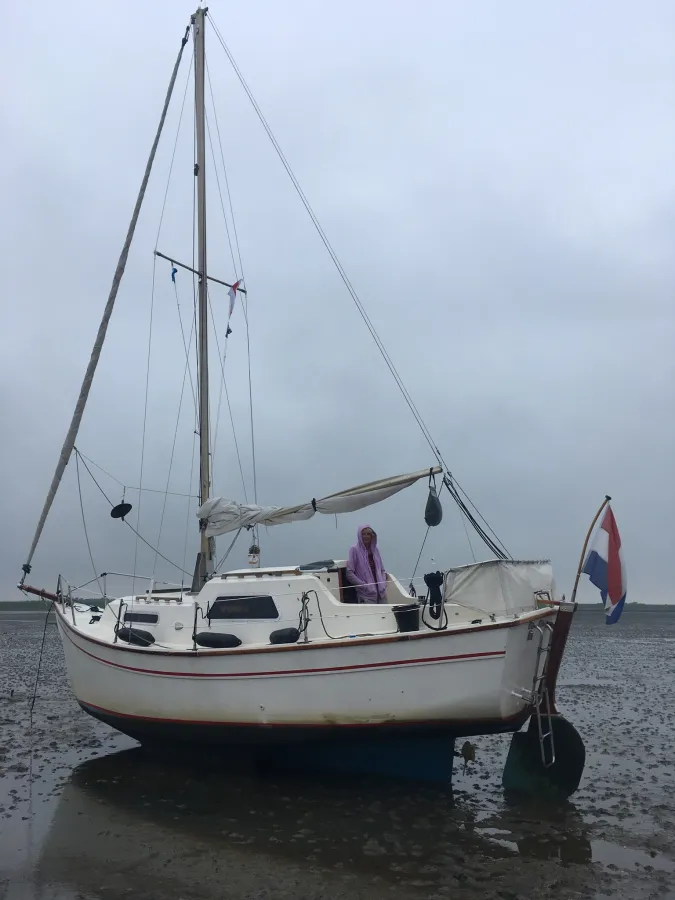 Polyester Sailboat Seamaster 840