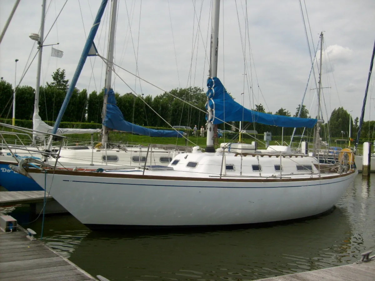 Polyester Sailboat Carter 33