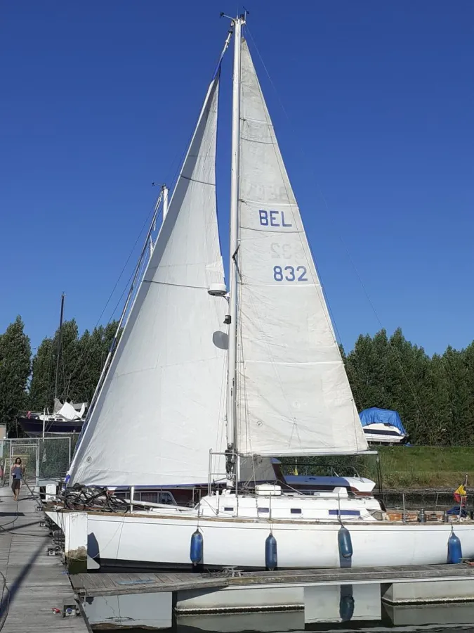 Polyester Sailboat Carter 33