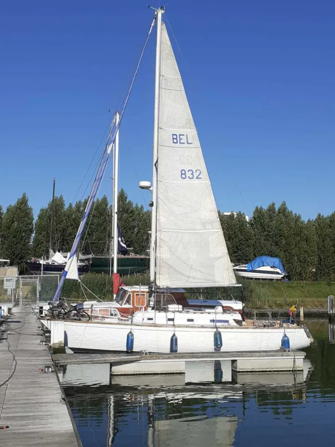 Polyester Sailboat Carter 33