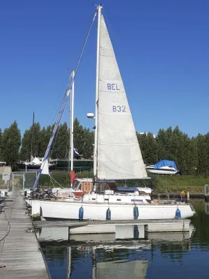 Polyester Sailboat Carter 33 Photo 3