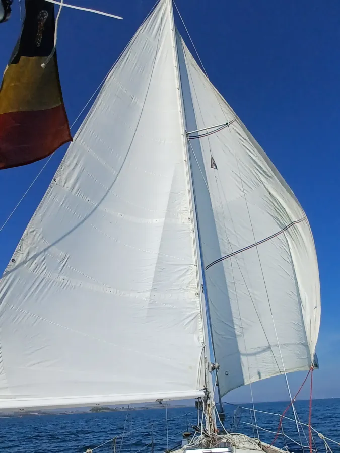 Polyester Sailboat One Off An 24