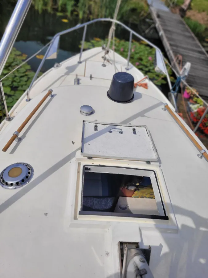 Polyester Sailboat Finnsailer 29 AK