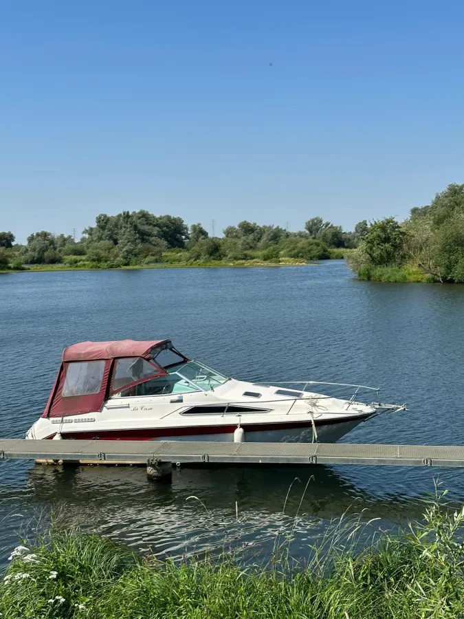 Polyester Motorboat Sea Ray 220 Sundancer