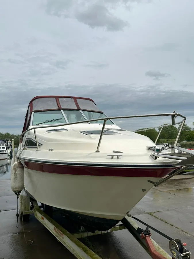 Polyester Motorboat Sea Ray 220 Sundancer