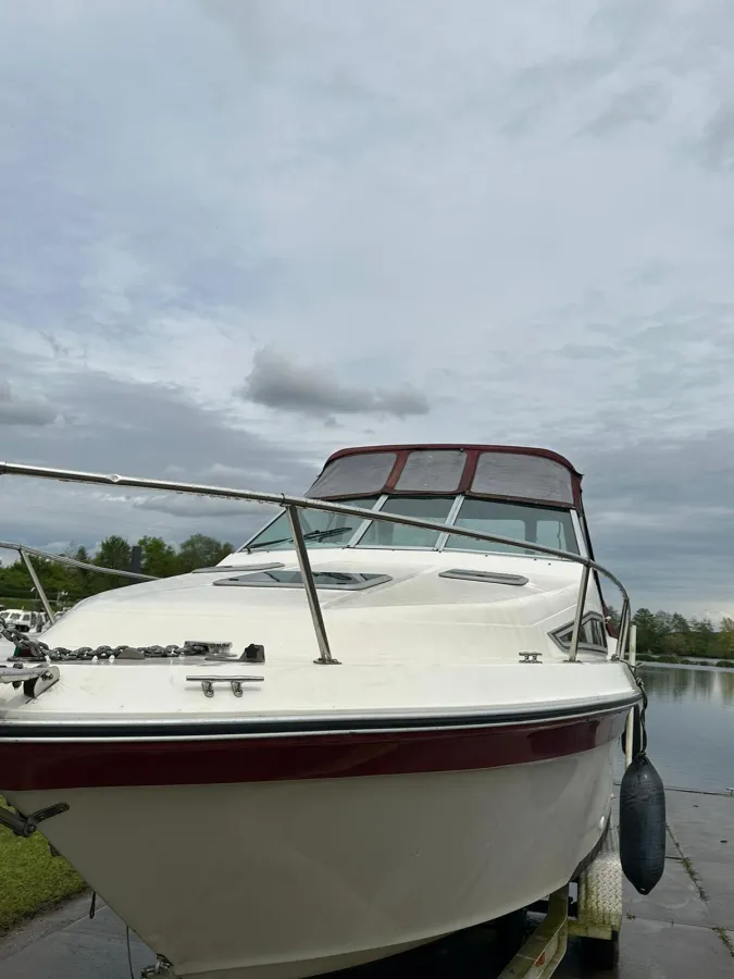 Polyester Motorboat Sea Ray 220 Sundancer