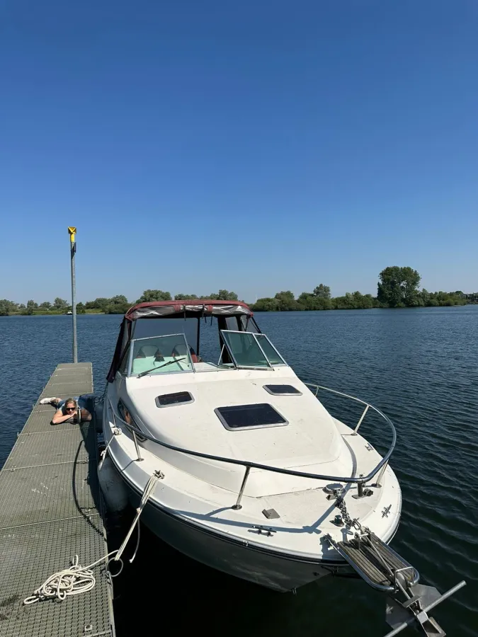 Polyester Motorboat Sea Ray 220 Sundancer