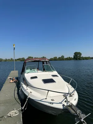 Polyester Motorboat Sea Ray 220 Sundancer Photo 49