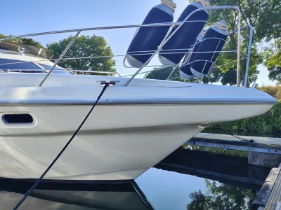 Polyester Motorboat Sealine 420 Statesman Photo 36