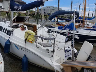 Polyester Sailboat Hunter 26 Photo 1