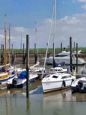 Polyester Sailboat Hunter 26 Photo 18