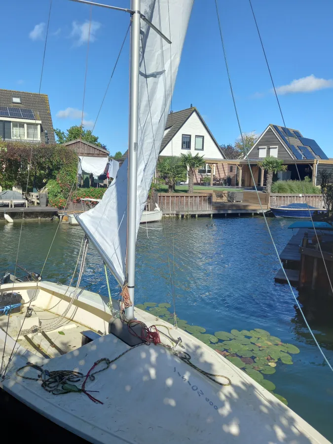 Polyester Sailboat Vision 600