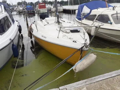 Polyester Zeilboot Jeanneau Flirt Foto 3