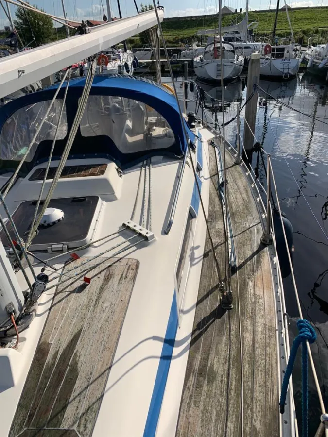 Polyester Sailboat Bavaria 30