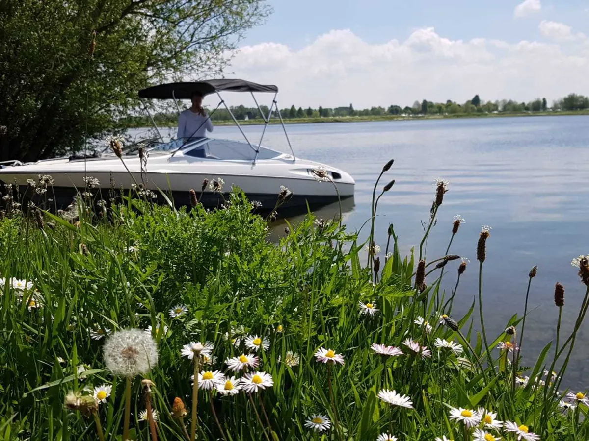 Polyester Speedboat Bayliner 2050 Capri