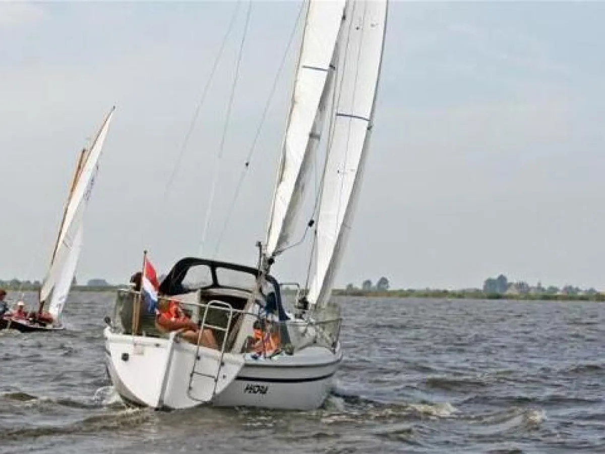 Polyester Sailboat Mallard Start 7