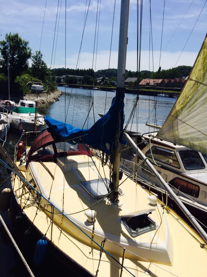 Polyester Sailboat Dufour Arpege