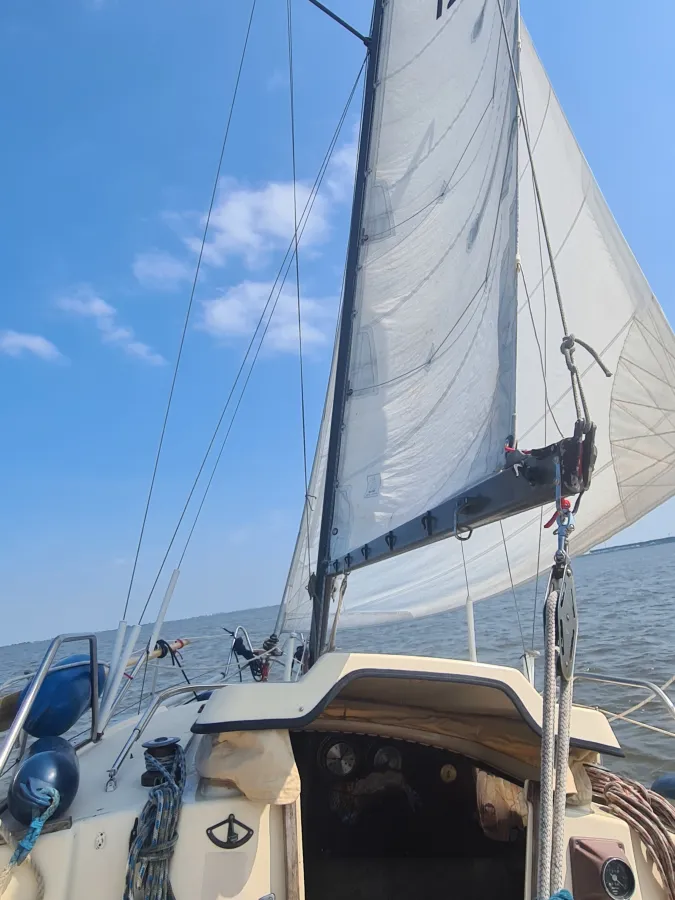 Polyester Sailboat Dehler Delanta