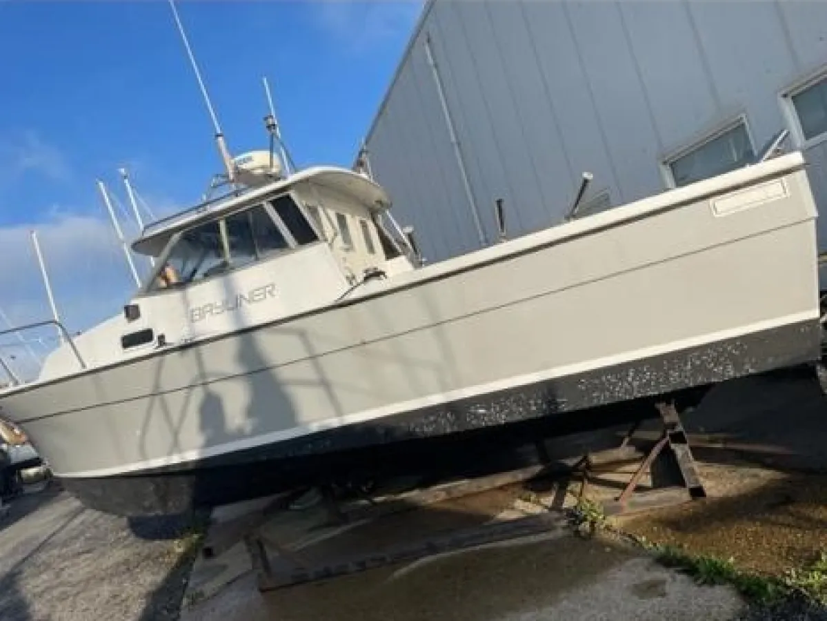 Polyester Motorboat Bayliner 800