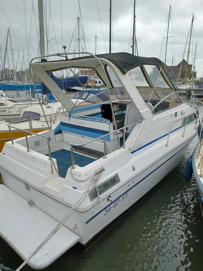 Polyester Motorboat Sunrunner 248