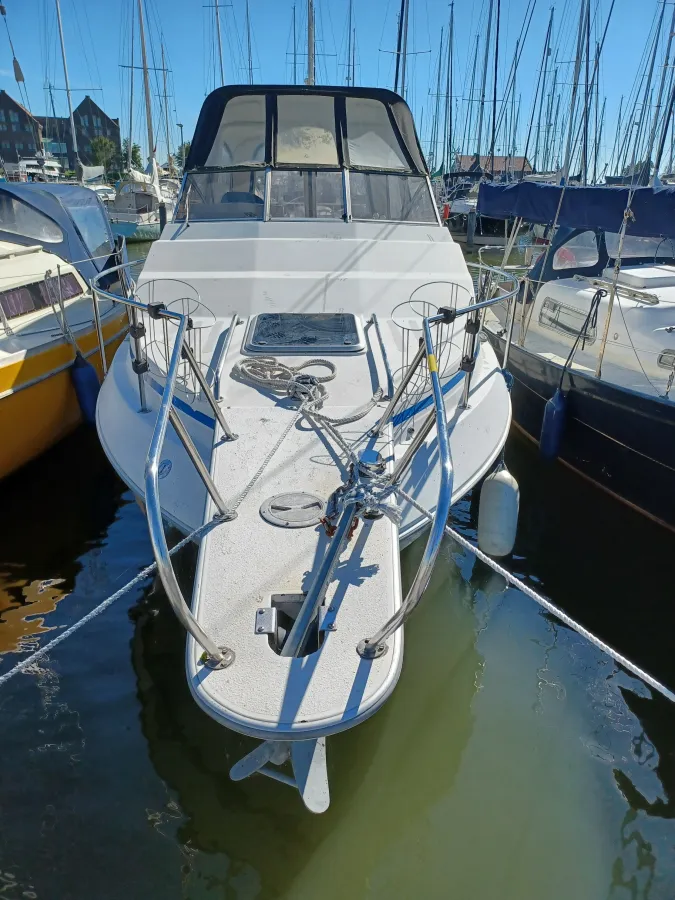 Polyester Motorboat Sunrunner 248